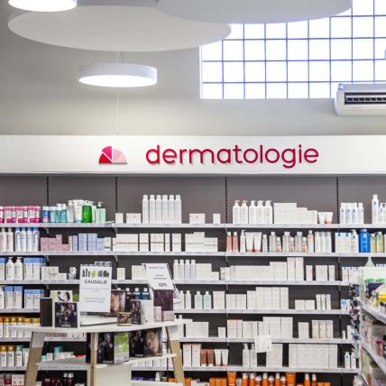 PHARMACIE DU SOUBESTRE